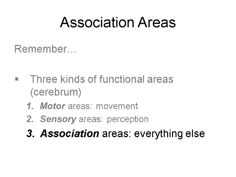 Association Areas Remember…  Three kinds of functional areas (cerebrum) Motor areas: movement Sensory